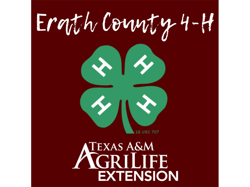 Logo for 2027 Erath County 4-H Youth Fair